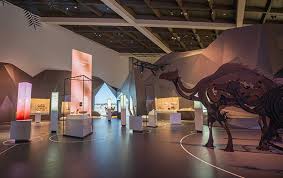 صورة للمتحف