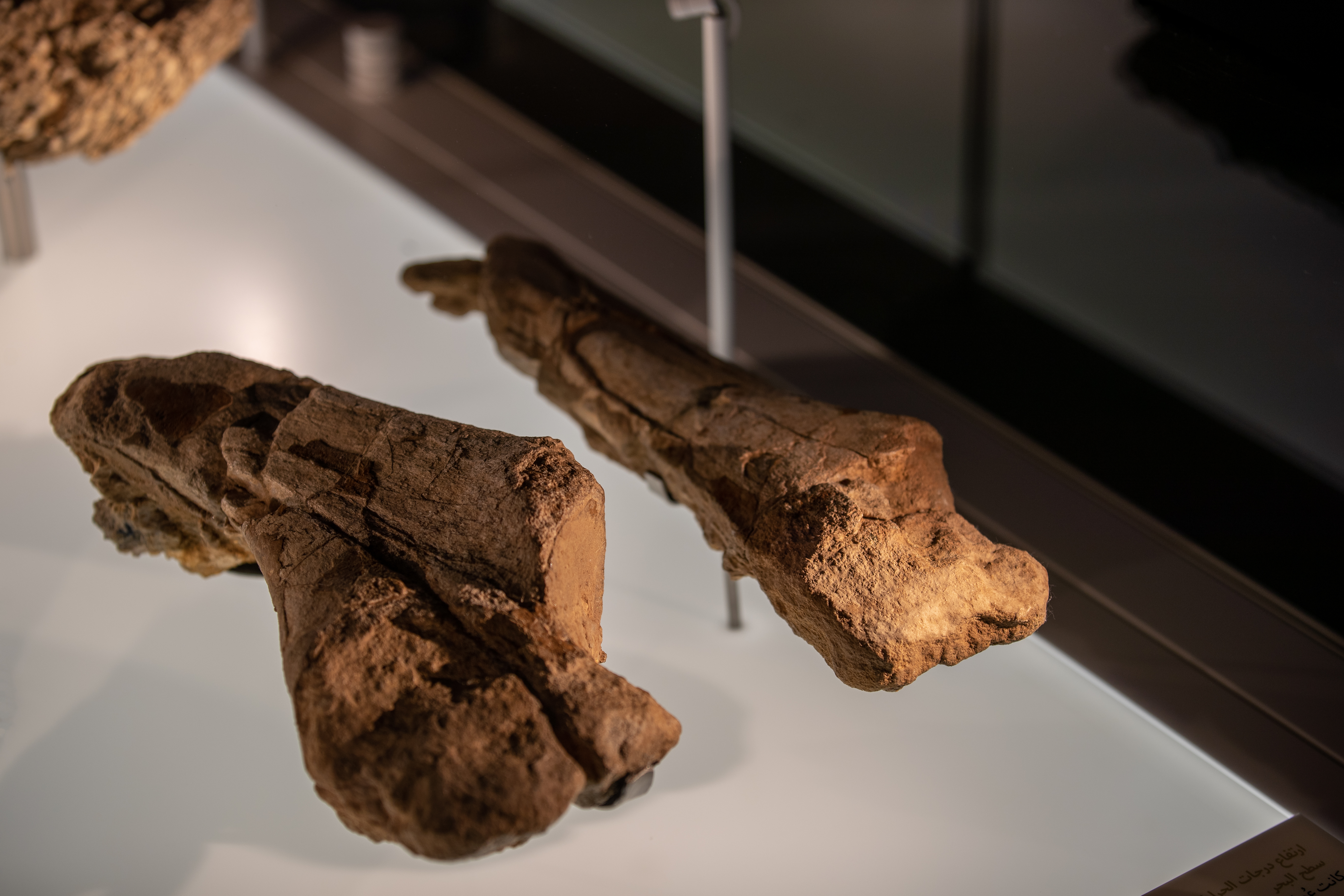 صورة للمتحف